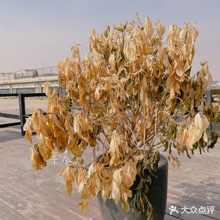 西安|建国门|文化创意|老菜场依旧还是老菜场