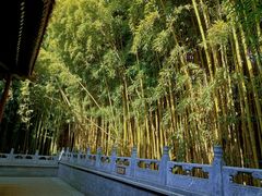 -潭柘寺景区
