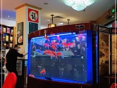 -峨嵋酒家(王府井店)