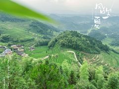 -紫鹊界梯田景区