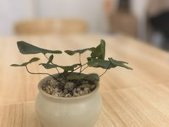 -轻蔬不用等·素食(江苏路店)