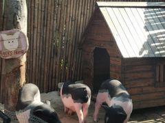 -HERRE·FARM 赫尔露营农场·团建聚会包场