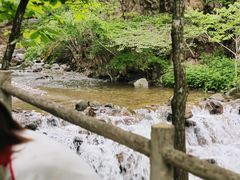 -牛背梁国家森林公园