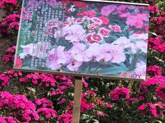 -丹樱生态园