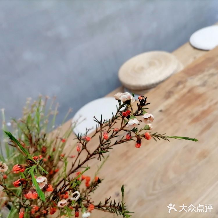 初夏时节在ConnieHe露天小院子享受小美好