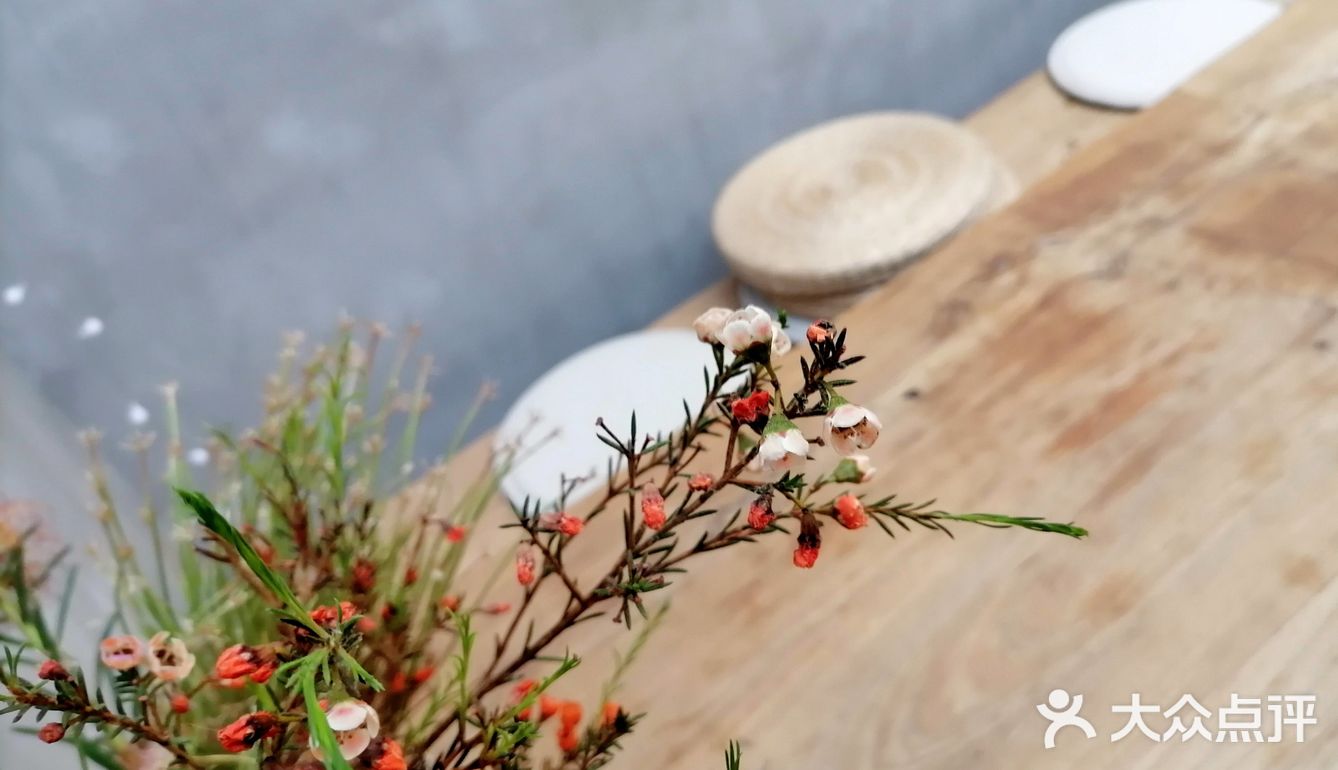 初夏时节在ConnieHe露天小院子享受小美好