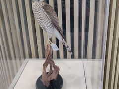 -陕西科学技术馆