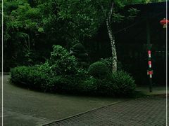 -呀诺达热带雨林