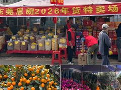 -细村农贸综合市场