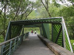 -西湖风景区-江洋畈生态公园