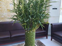 -百姓康洁洗浴(红桥店)