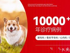 -御宝贝24h宠物医院·转诊中心·CT核磁血透中心(厦门总院)