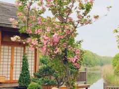 -重元寺
