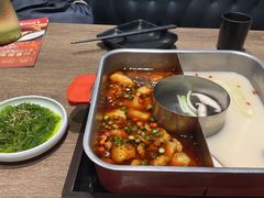-新辣道鱼火锅(龙旗广场店)