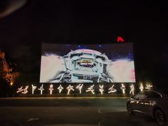 -枫花园汽车电影院(朝阳公园店)