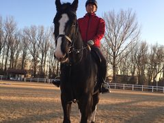 -月河湾马术俱乐部(朝阳店)