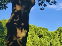 -丝绸小镇荻港古村