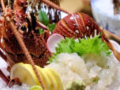 龙虾套餐-綱元·海鲜豆捞(明州里店)