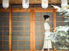 -泡桐树街