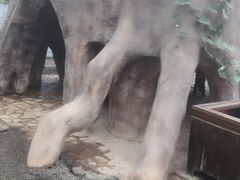 -上海都市菜园