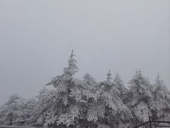 -峨眉山风景名胜区