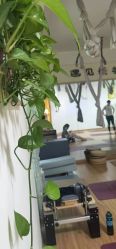 点击看大图 -九月瑜伽·普拉提