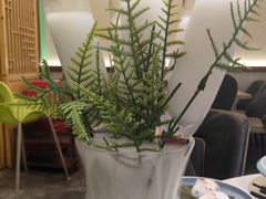 -探窝·竹笙椰子鸡(杨箕店)