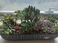 -沐春秋茶书院·茶室.茶馆.商务包房(知春路店)