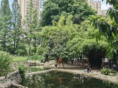 -成都市活水公园