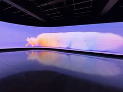 -现代汽车文化中心 Hyundai Motorstudio Beijing