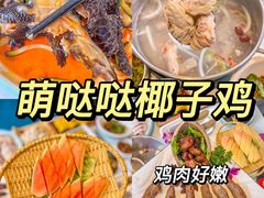 -椰梦长廊