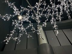 -南宁那莲豪华精选酒店-云霄酒廊·80楼高空城景酒吧