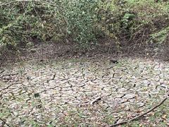 -青龙山国家森林公园