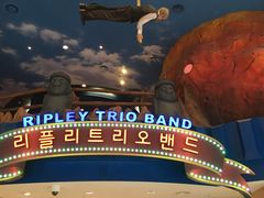 -信不信由你博物馆