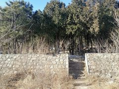 -阳台山自然风景区