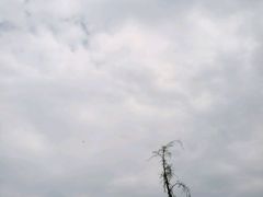 -火炉山森林公园