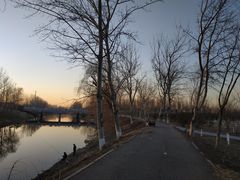 -东郊湿地公园