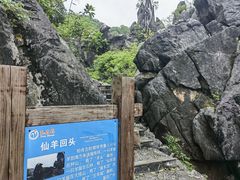 -玉石林风景区
