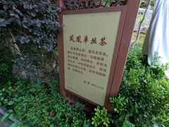 -英德宝晶宫天鹅湖茶语温泉