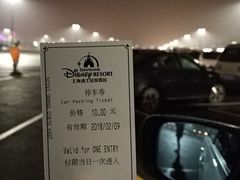 -迪士尼乐园停车场