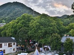 -莫干山风景区