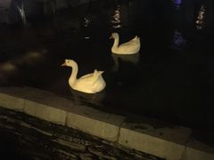-河北霸州茗汤日月潭温泉