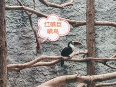 -武汉动物园