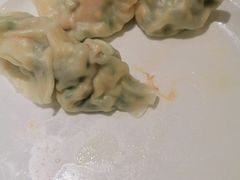 -东方饺子王臻味餐厅(新嘉坡城店)