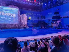 -华夏文旅海洋公园