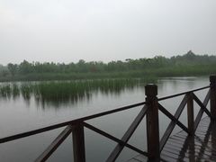 -溱湖国家湿地公园