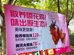 -古柏渡飞黄旅游区