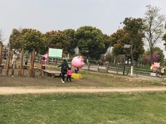 -田园东方蜜桃村的田野营地