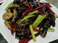 蚕蛹-天发长铁锅炖(王秀村店)