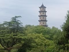 -江心屿景区
